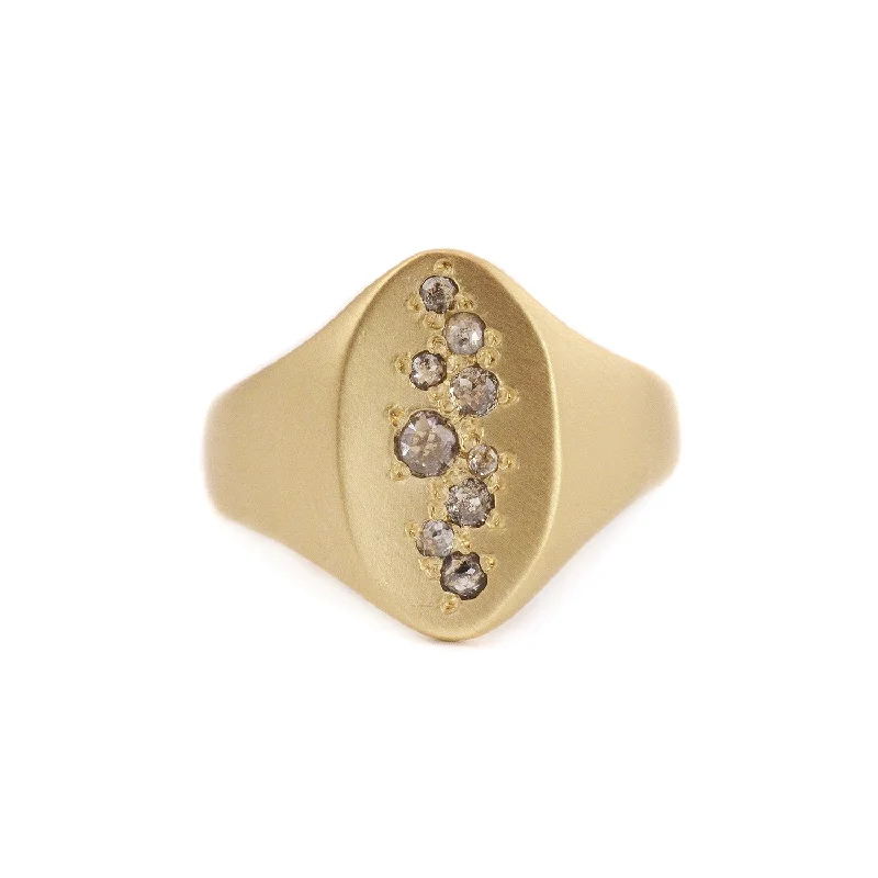 women handmade rings -Small Grey Diamonds in 14Kt Gold Band Ring by Rebecca Overmann